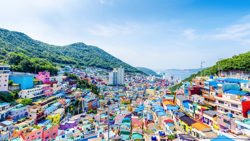 Private One Day Busan City Tour (From Seoul) photo 1