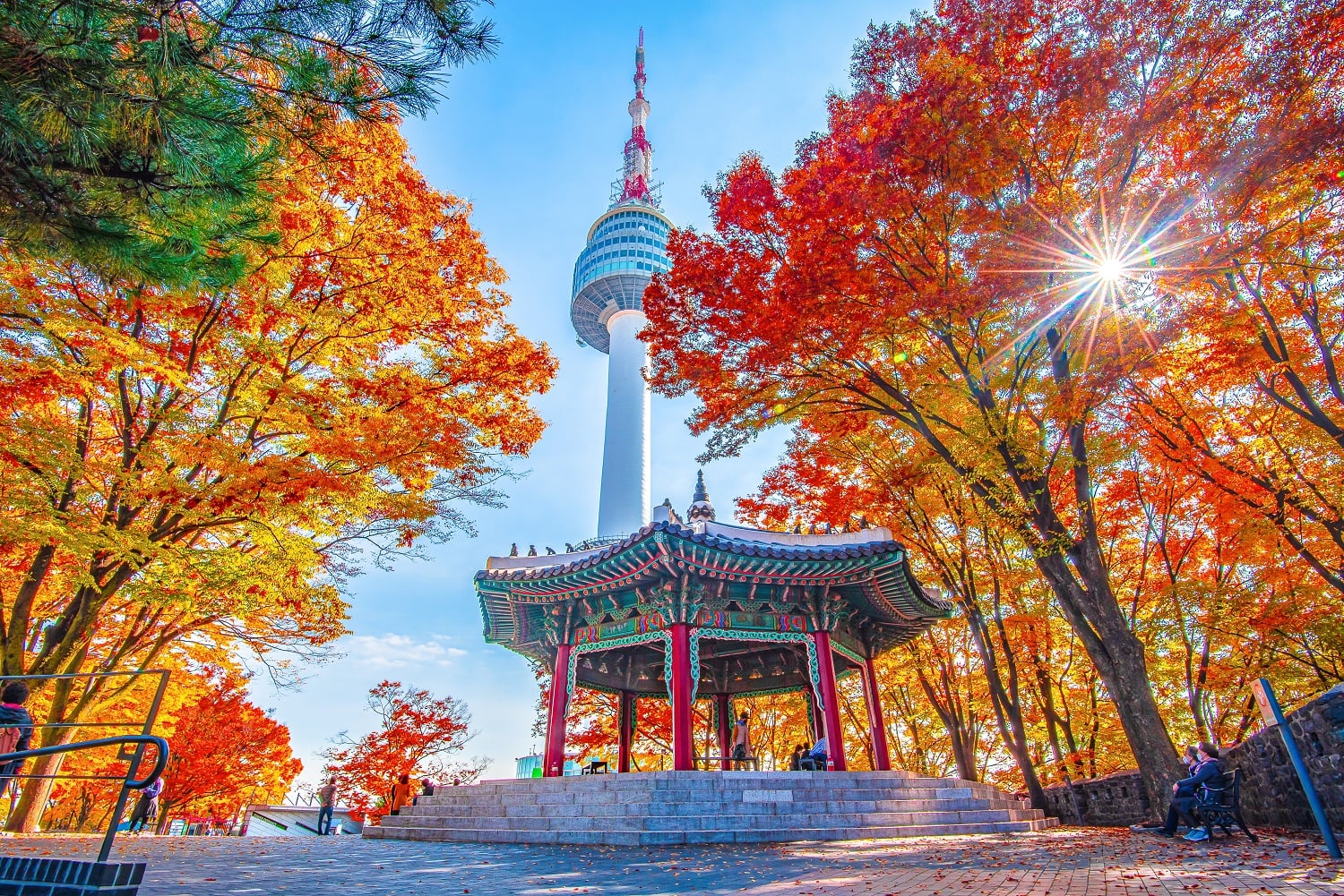 Private Seoul City Tour (With a guide) photo 1